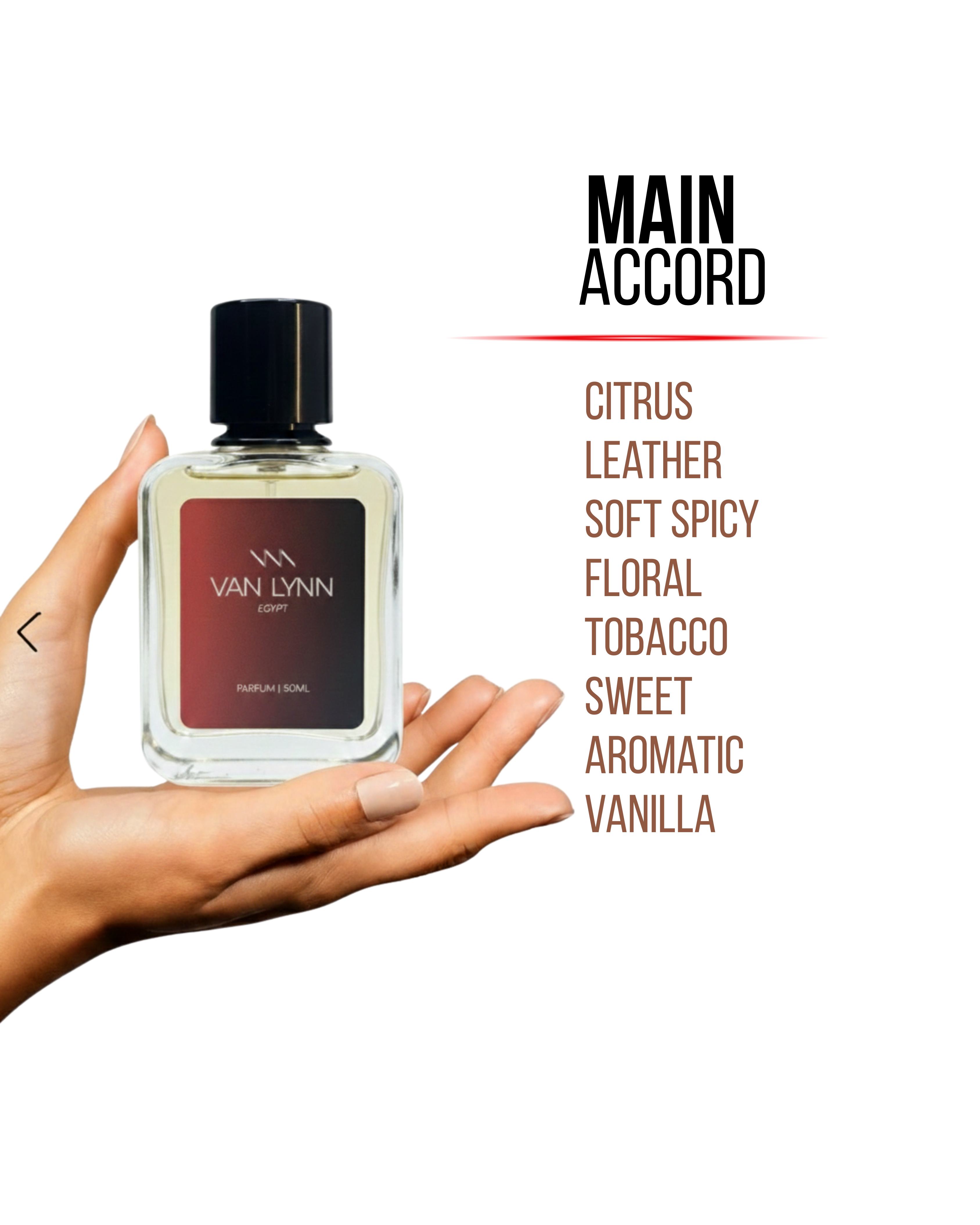 Egpyt - Men's Fragrance