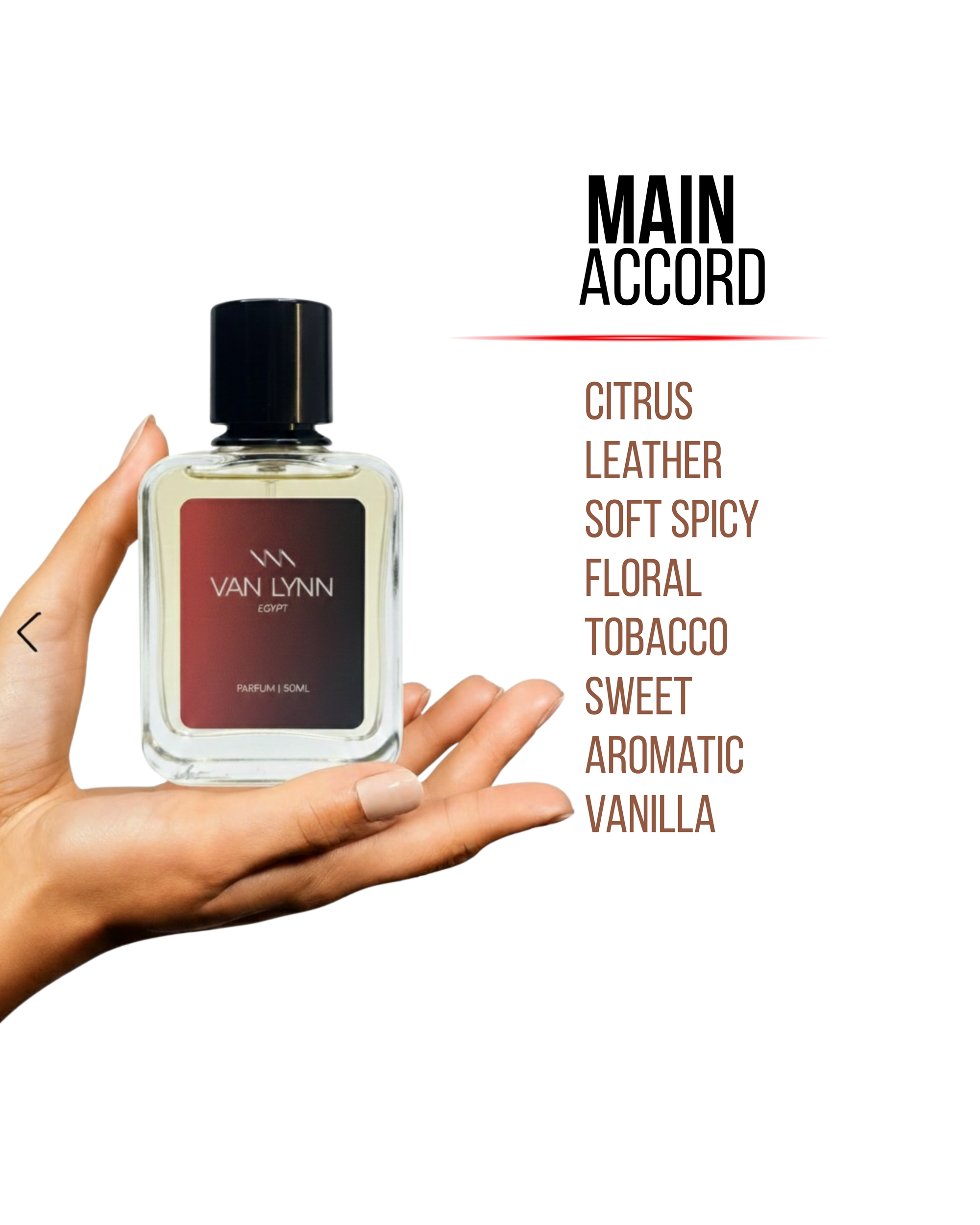 Egpyt - Men's Fragrance