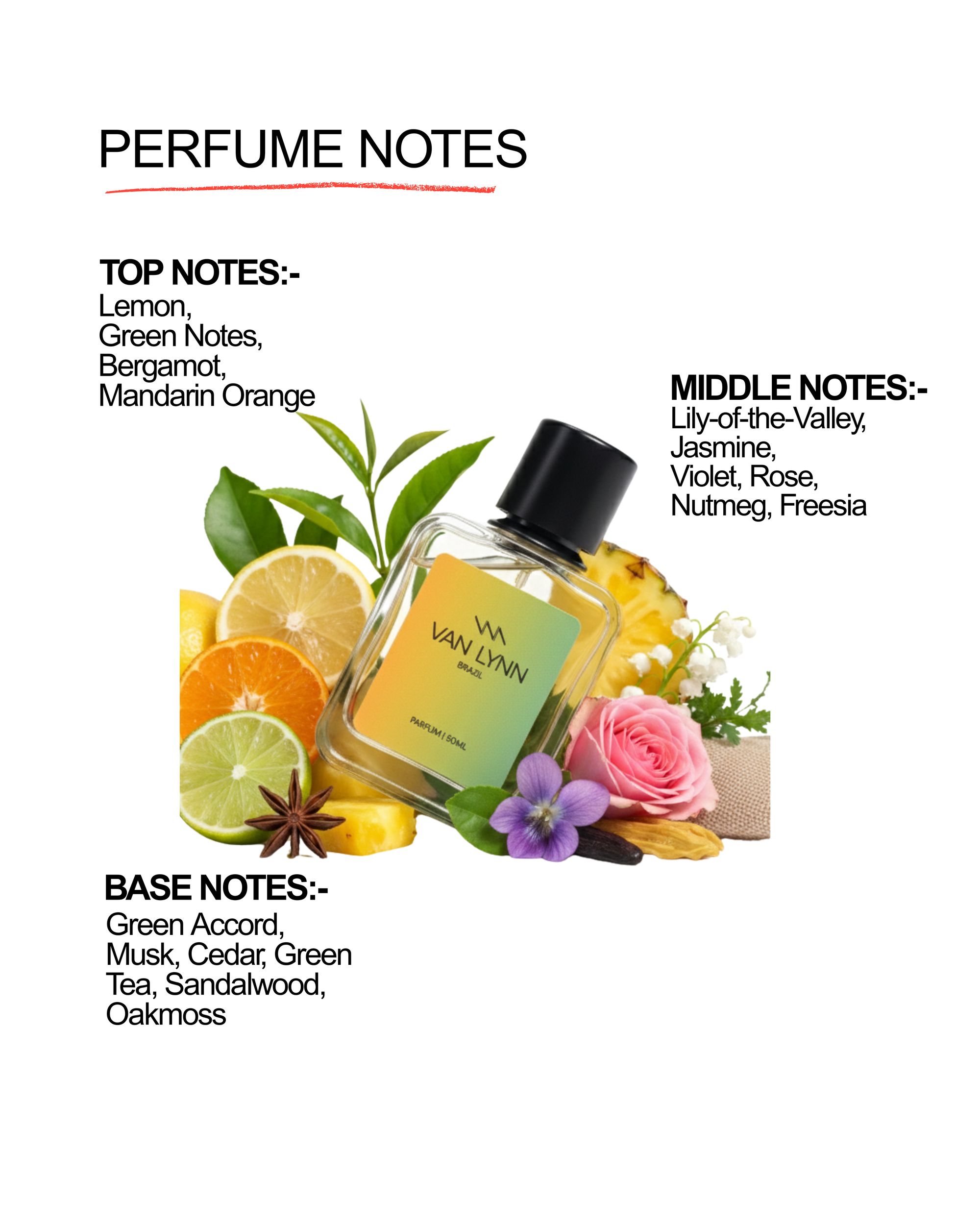 Brazil - Men's Fragrance