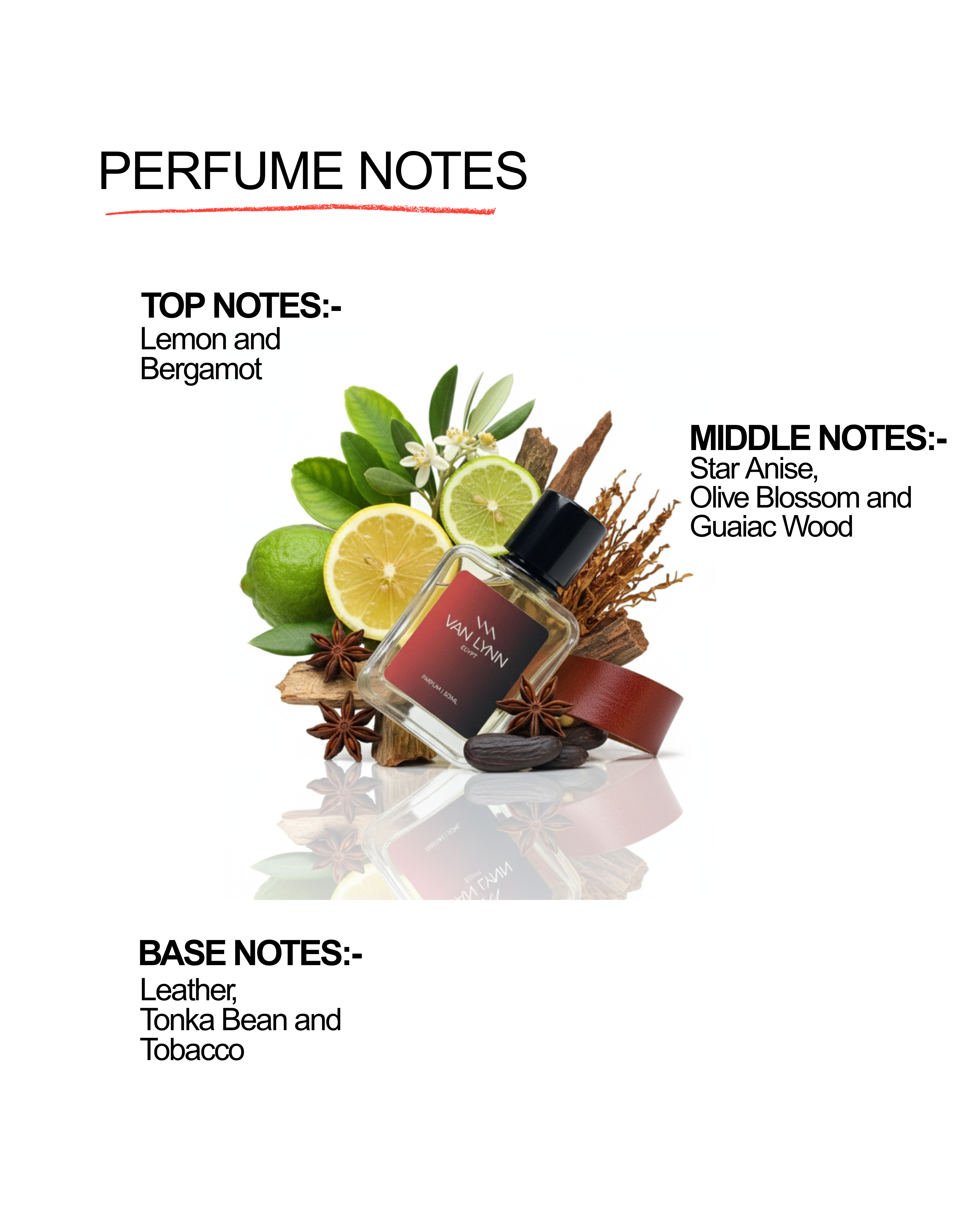 Egpyt - Men's Fragrance